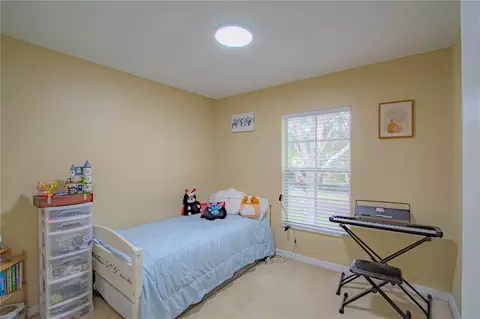 Bedroom - 10917 Brickside Ct, Riverview, FL 33579 photo 3 of 3