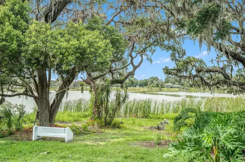 Other - 14050 Blackjack Rd, Dover, FL 33527 photo 12 of 13