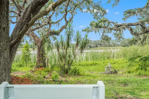 View/Area - 14050 Blackjack Rd, Dover, FL 33527 photo 1 of 6