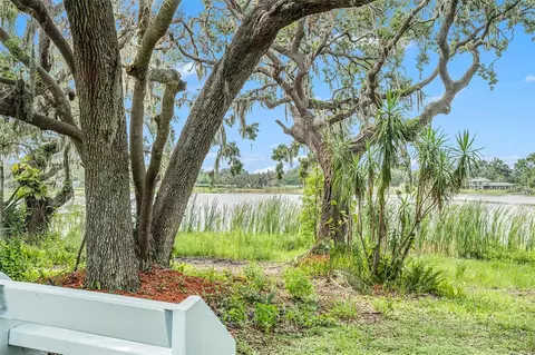 Other - 14050 Blackjack Rd, Dover, FL 33527 photo 11 of 13