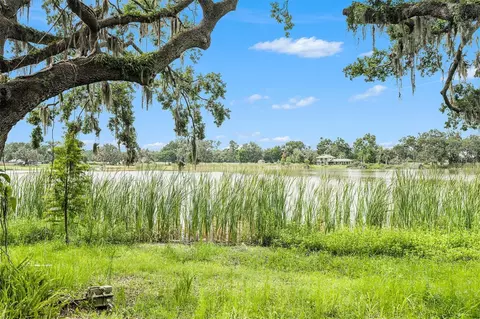 View/Area - 14050 Blackjack Rd, Dover, FL 33527 photo 2 of 6