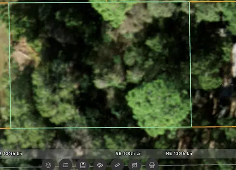 NE 130 Lane, Salt Springs, FL 32134