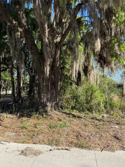 3 Rd St, Ocala, FL 34471 photo 2