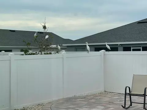 Exterior - 2962 Harlow Ave, Saint Cloud, FL 34772 photo 5 of 7