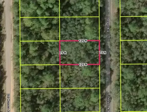 Undisclosed, Interlachen, FL 32148