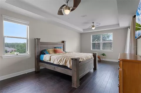 Bedroom - 30215 Bretton Loop, Mount Dora, FL 32757 photo 1 of 4