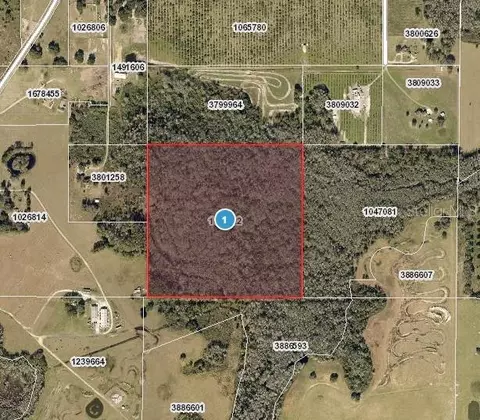 Hidden Grove Road, Clermont, FL 34711