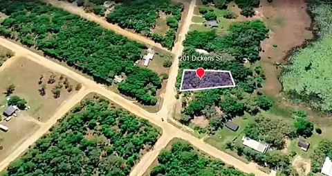 201 Dickens St, Interlachen, FL 32148 photo 3