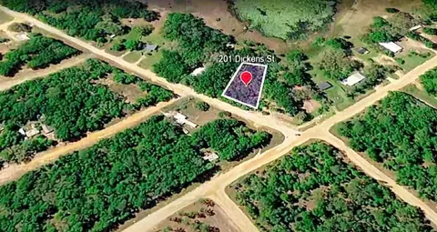 201 Dickens St, Interlachen, FL 32148