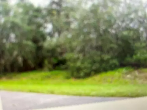 551 St Johns Ct, Kissimmee, FL 34759