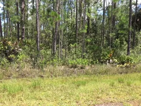808 Orchid Dr, Indian Lake Estates, FL 33855