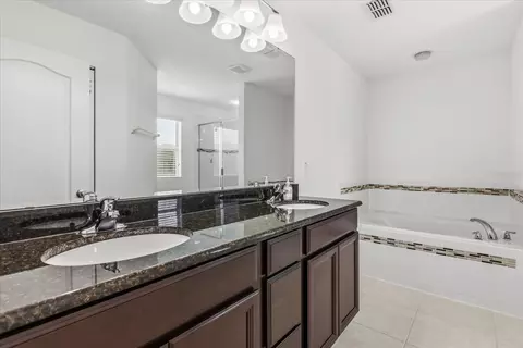 Bath - 10536 Cabbage Tree Loop, Orlando, FL 32825 photo 3 of 4