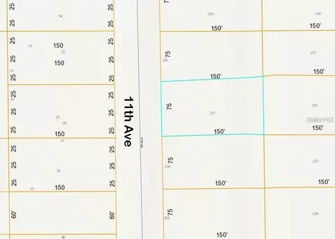 lot257 11th Ave, Deland, FL 32724