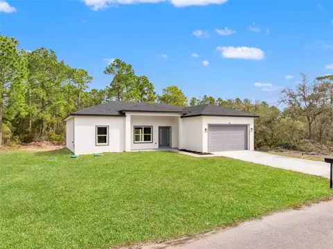 33 Fisher Pl, Ocklawaha, FL 32179