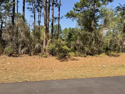 Undetermined, Dunnellon, FL 34432