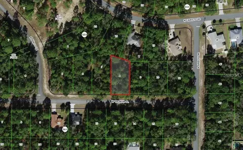 3231 W Talinum Pl, Citrus Springs, FL 34433