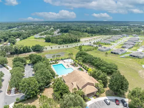View/Area - 5459 Rishley Run Way, Mount Dora, FL 32757 photo 5 of 7