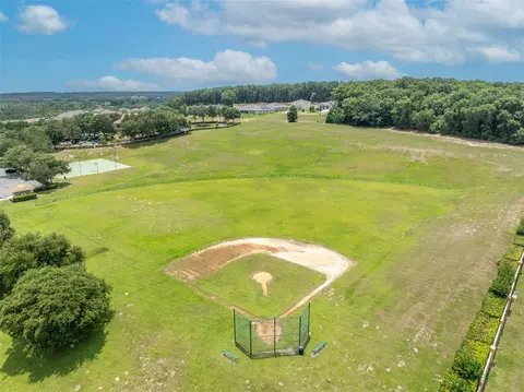 View/Area - 5459 Rishley Run Way, Mount Dora, FL 32757 photo 7 of 7