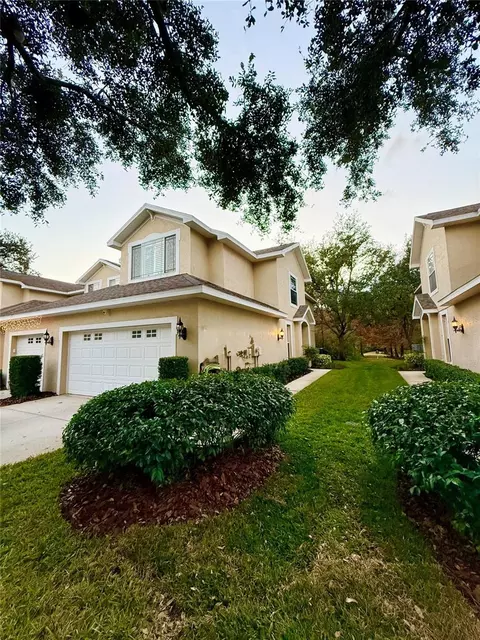 6517 Spring Oak Ct, Tampa, FL 33625