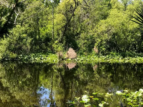 241 Nova Dr, Sanford, FL 32771
