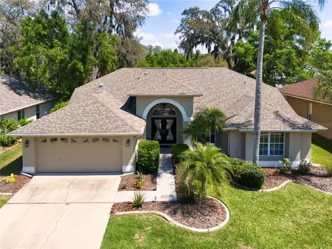 8435 Basuto Dr, Trinity, FL 34655