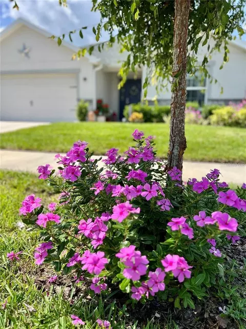 Other - 7 Polermo Ave, Saint Cloud, FL 34771 photo 6 of 7