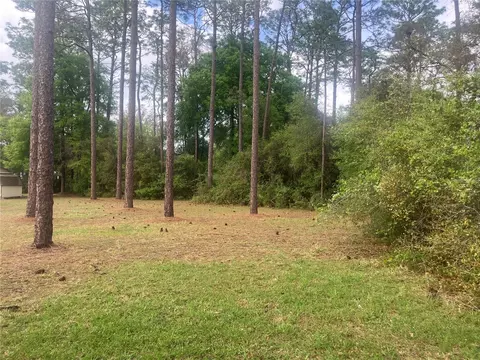 Se 19th Pl, Silver Springs, FL 34488