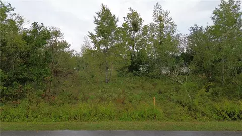 1917 NW 4th St, Ocala, FL 34471