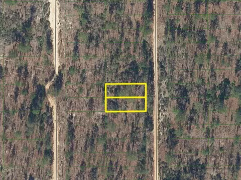 423 Dothan St, Interlachen, FL 32148