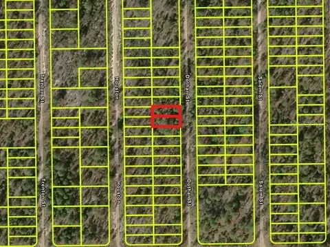 427 Dothan St, Interlachen, FL 32148