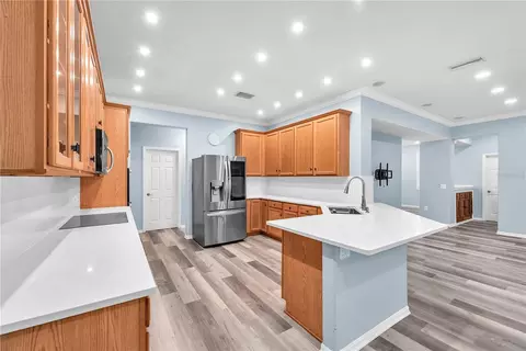 Kitchen - 10638 Dawns Light Dr, Riverview, FL 33578 photo 1 of 4