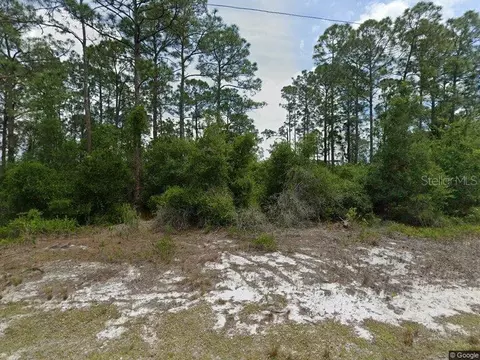479 Johnson Ave NE, Lake Placid, FL 33852