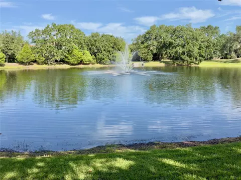 View/Area - 2068 Roberts Point Dr, Windermere, FL 34786 photo 10 of 11