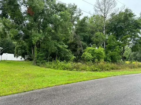 1 Guava Pass Trl, Ocklawaha, FL 32179
