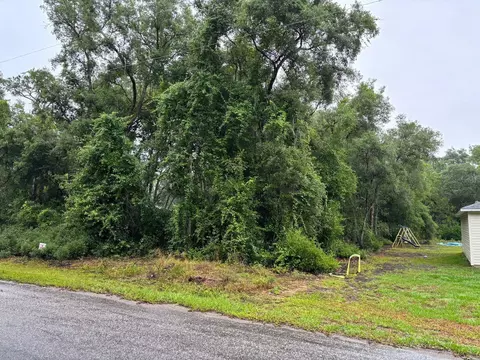 11 Fisher Way Crse, Ocklawaha, FL 32179