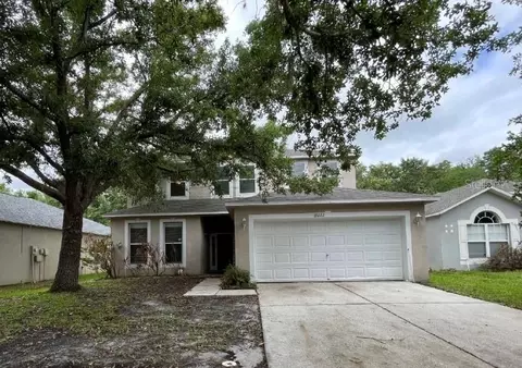 19222 Wood Sage Dr, Tampa, FL 33647