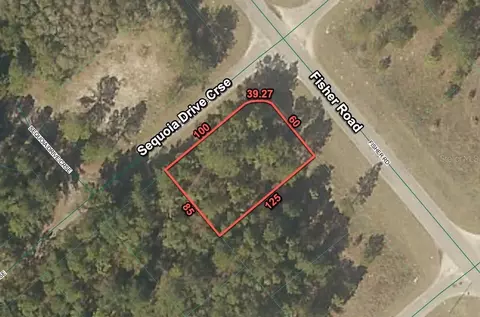 200 Fisher Rd, Ocklawaha, FL 32179