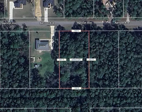 Apricot Avenue, Eustis, FL 32736