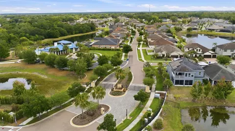 View/Area - 10431 Alcon Blue Dr, Riverview, FL 33578 photo 7 of 10