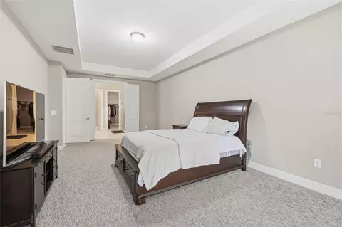 Bedroom - 10431 Alcon Blue Dr, Riverview, FL 33578 photo 2 of 7