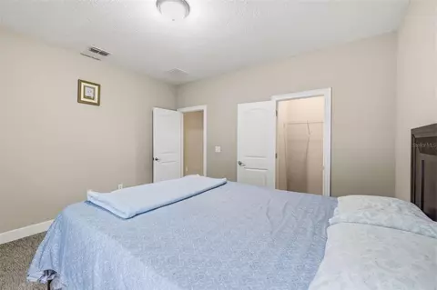 Bedroom - 10431 Alcon Blue Dr, Riverview, FL 33578 photo 6 of 7