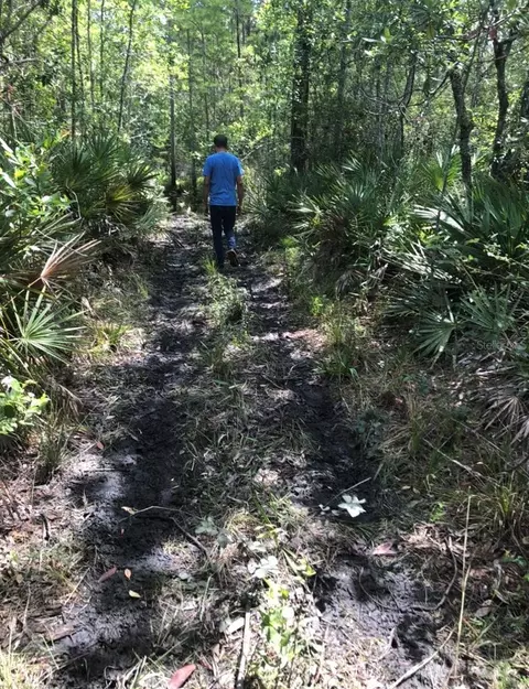 2449 Old Train Rd, Deltona, FL 32738