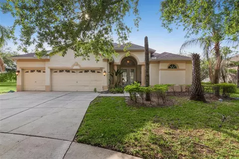 2425 Blue Stone Ct, Valrico, FL 33594
