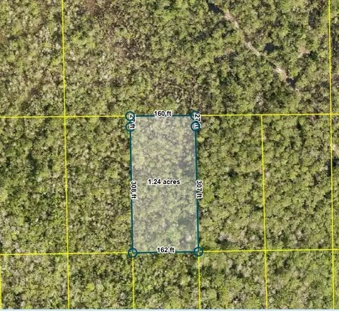 Pid 710801150080 No Street, Deland, FL 32724