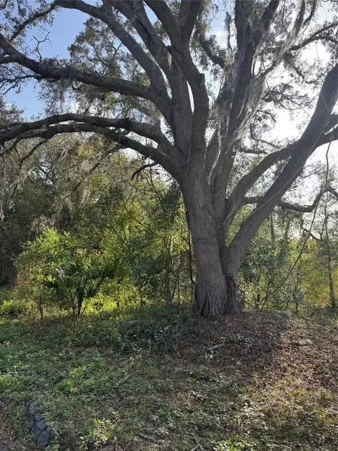 State Road 44, Eustis, FL 32726 photo 5