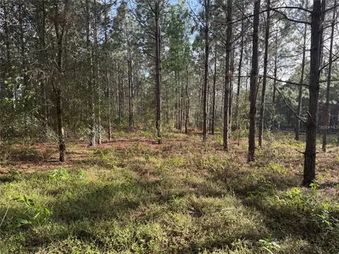 State Road 44, Eustis, FL 32726 photo 3