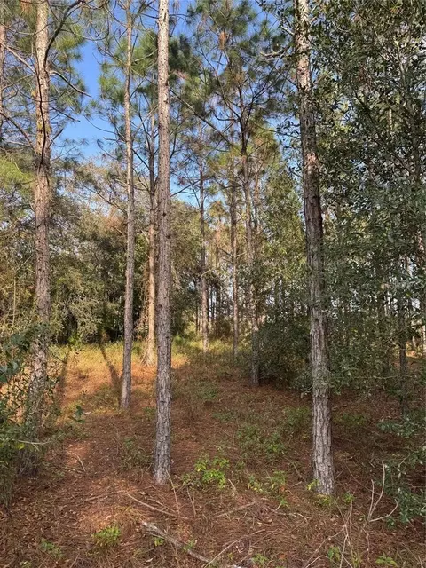 State Road 44, Eustis, FL 32726 photo 4