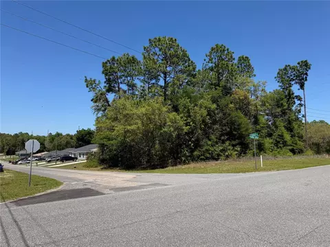 8975 N Travis Dr, Citrus Springs, FL 34434