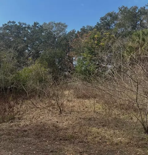 16644 SE 134th Ter, Weirsdale, FL 32195