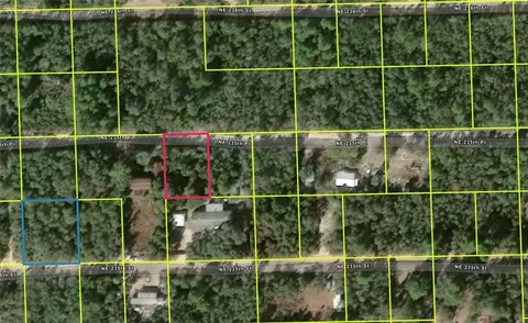 Ne 235th Pl, Fort Mc Coy, FL 32134